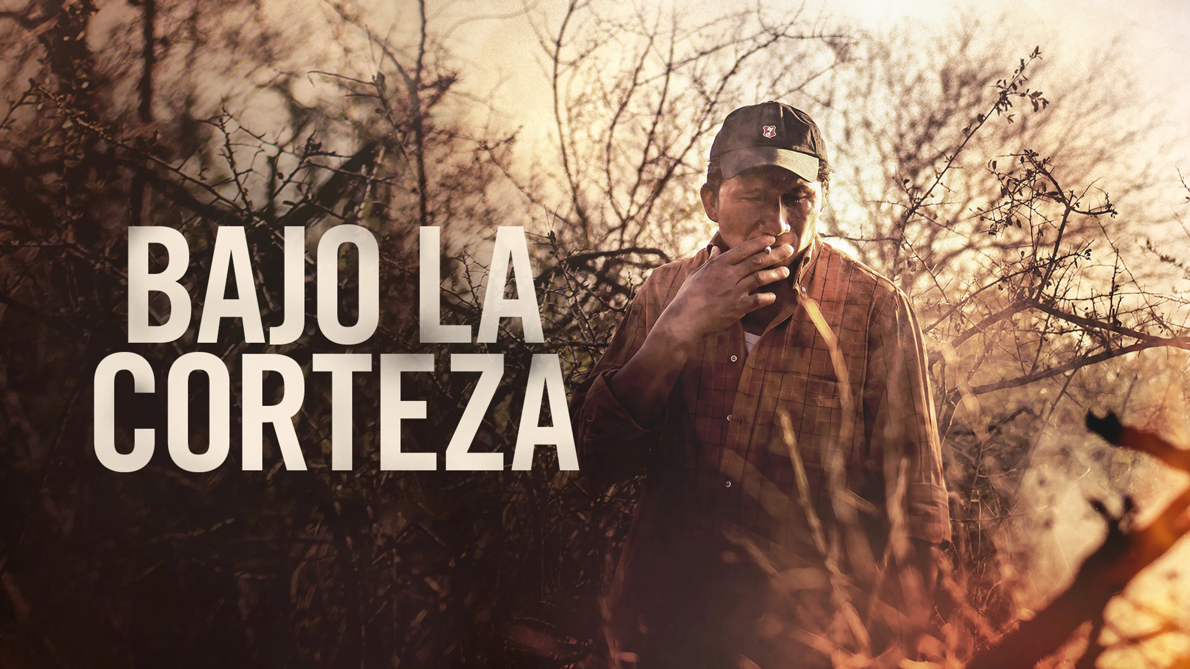 Bajo La Corteza poster